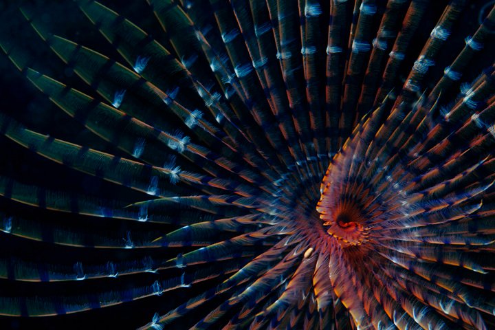 Aerial view of a cargo ship and shipping containers